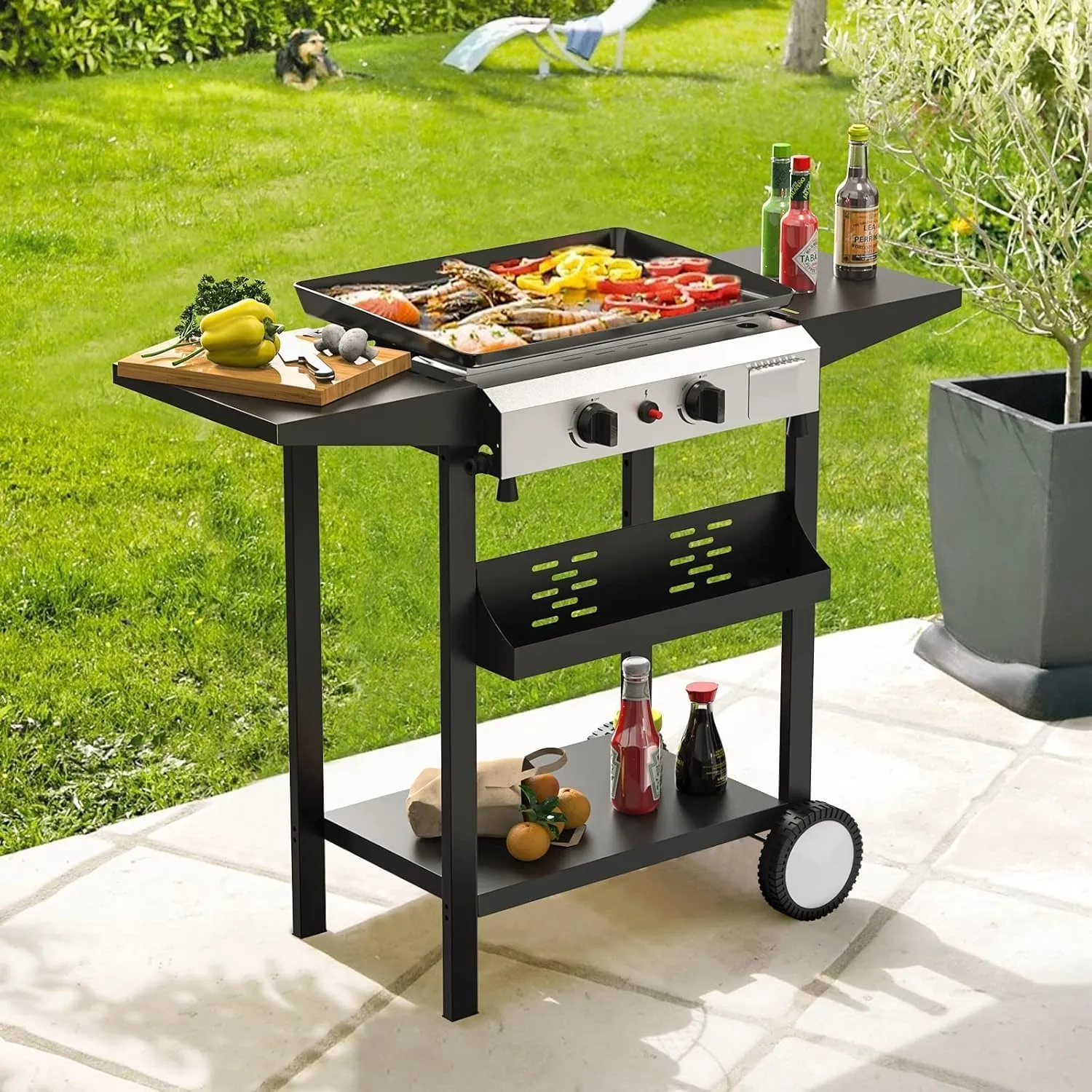 2 Burner BBQ Gas Griddle, 17.3 Inch Stainless Steel Portable Detachable Propane Griddle, 20,000 BTU Flat Top Barbecue Grill for Camping