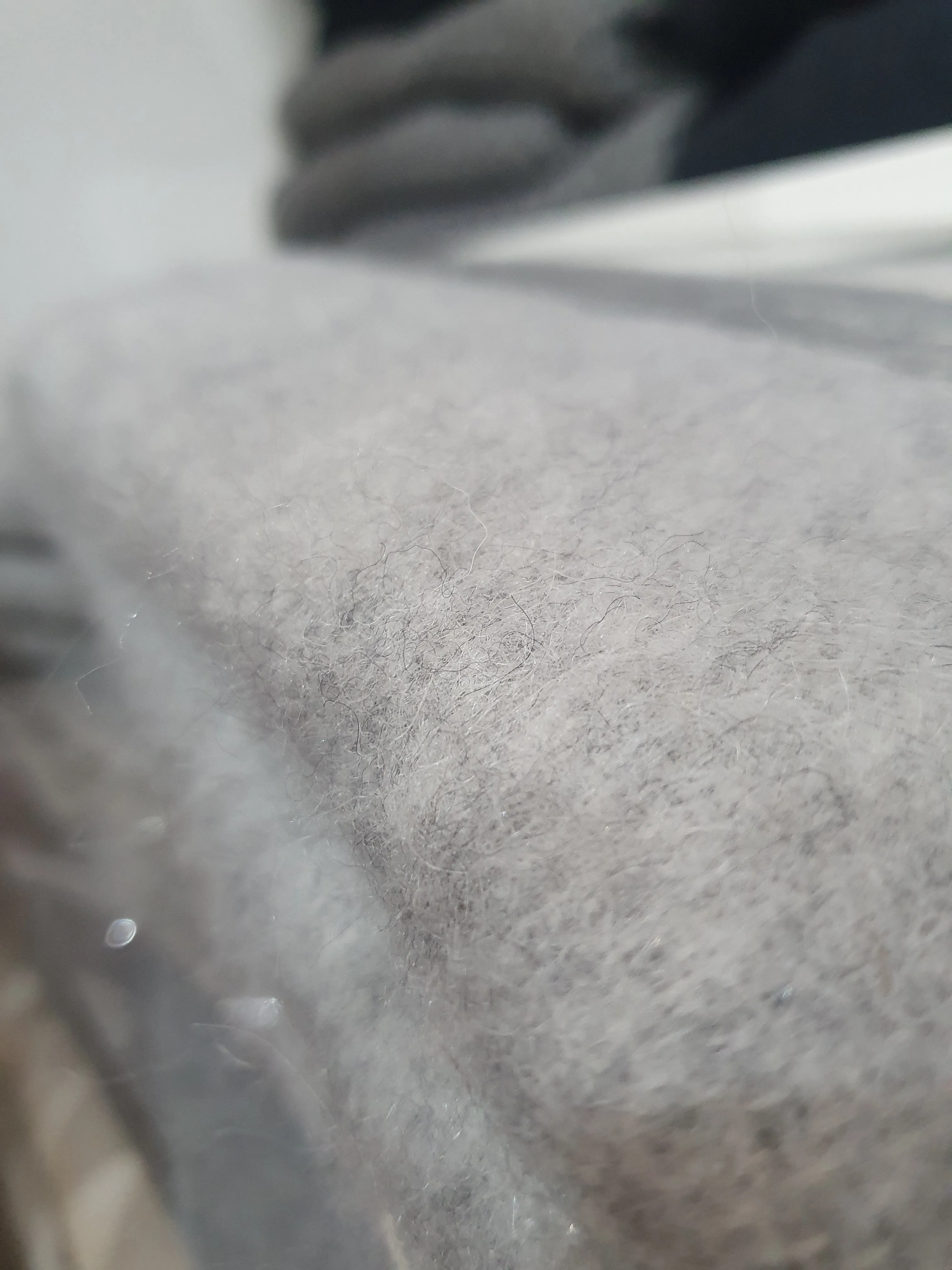Alpaca Bed Blanket