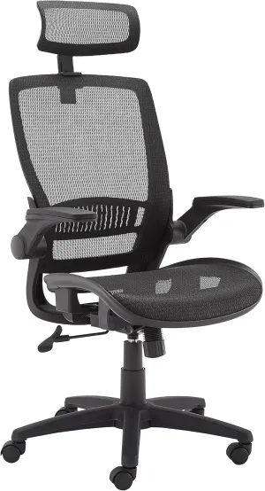 Amazon Basics Ergonomic High-Back Desk Chair, Comfortable Flip-Up Armrests, Contoured Mesh Seat, Swivel, Black, 25.5"D x 26.25"W x 49.25"H