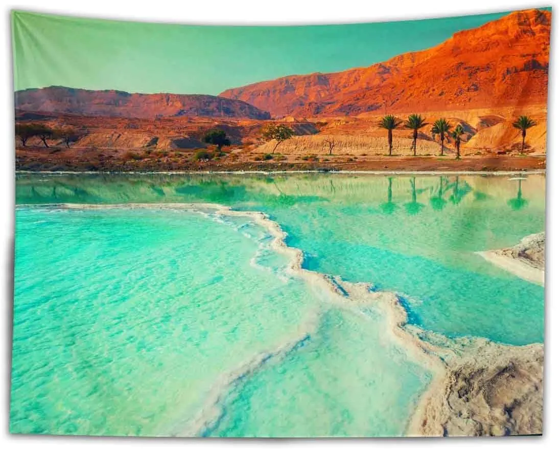BULOR Dead Sea Salt Shore Tapestry Wall Hangings, Landscape Mountain Desert Israel Tapestry For Kids Student Bedroom Living Room Dorm Man Cave Background 80x60inch