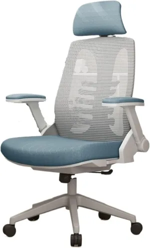 Classic Ergonomic Chair Lumbar Support Office Chair Comfortable Swivel Computer Chair for Home Study Study Writing Seat Desk Task Chair(Blue)