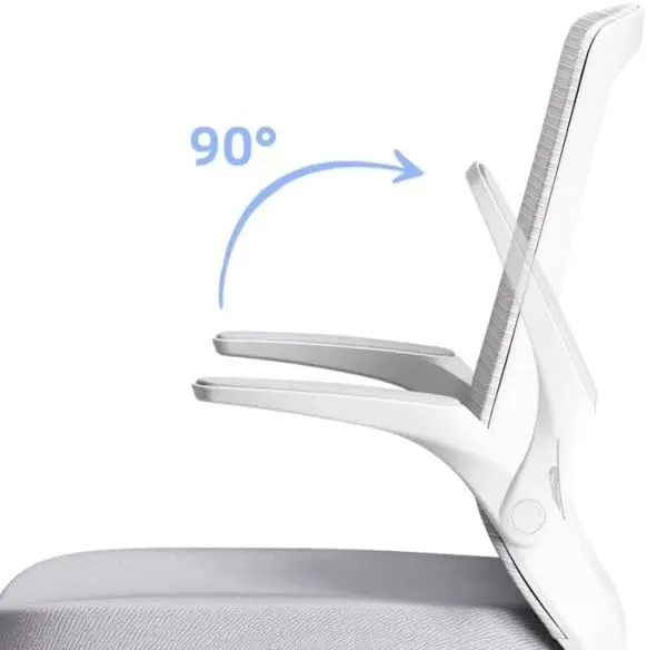 Classic Office Desk Chairs Ergonomic Desk Chair with Adjustable Handrail Lumbar Support Executive Chair Desk Task Chair(Gris)