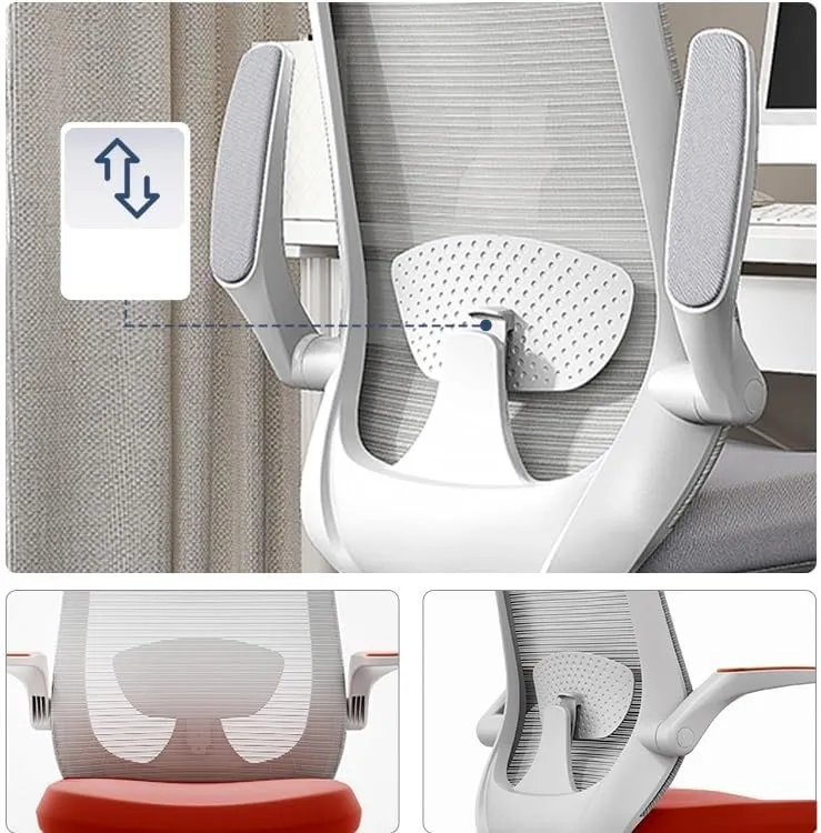 Classic Office Desk Chairs Ergonomic Desk Chair with Adjustable Handrail Lumbar Support Executive Chair Desk Task Chair(Gris)