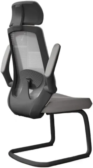 Classic Office Desk Chairs Ergonomic Desk Chair with Adjustable Handrail Lumbar Support Executive Chair Desk Task Chair(Gris)