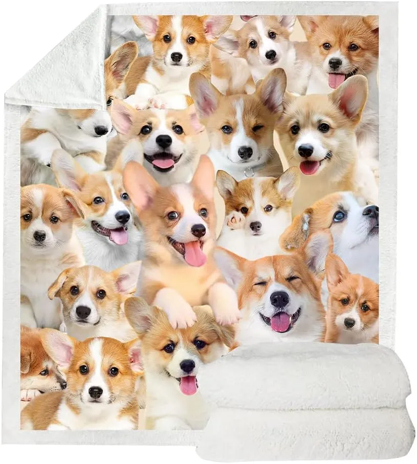 Corgi Gifts Blanket - Cartoon Dog Throw for Lovers, Boys, Girls, Adults - Cute Puppy Decor - 50"X60" for Bed, Sofa, Couch