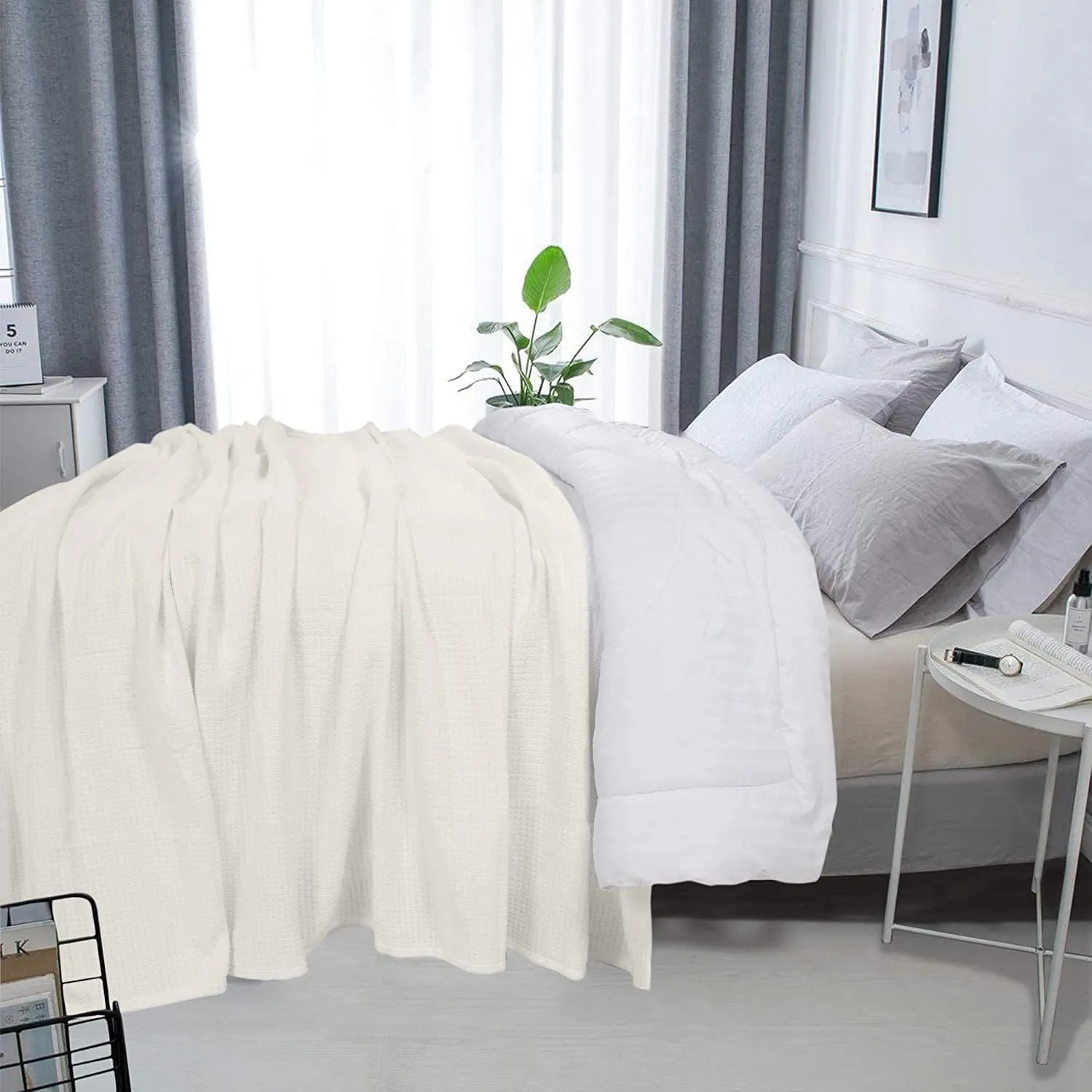 DOLLCENT 100% Cotton Queen Size Blanket for Bed, Premium Soft Combed Lightweight Blankets, Washed Breathable Cozy Bed Throw Blanket, Ivory Queen Cotton Blankets for All Season: Ivory (90"x90")