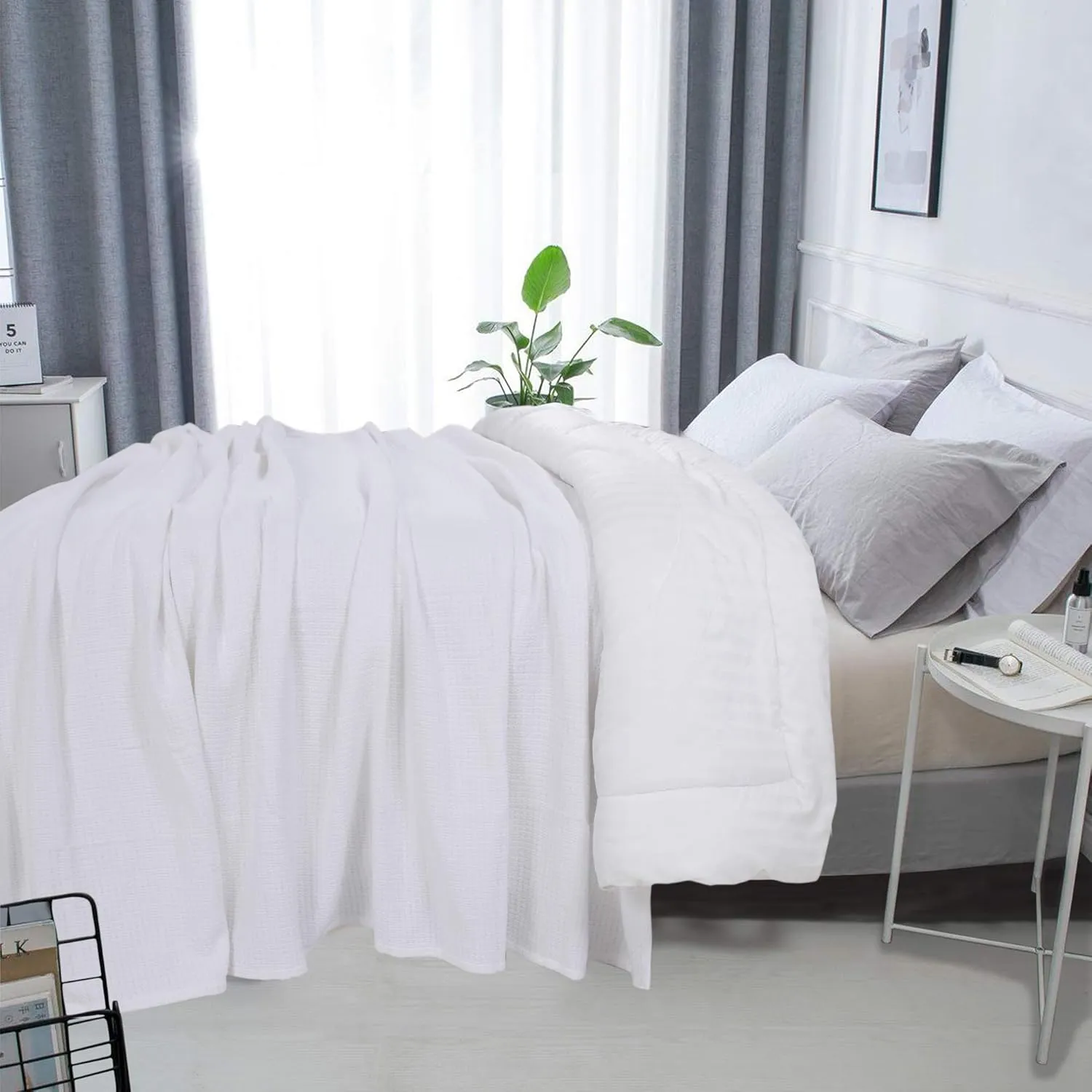 DOLLCENT 100% Cotton Queen Size Blanket for Bed, Premium Soft Combed Lightweight Blankets, Washed Breathable Cozy Bed Throw Blanket, White Queen Cotton Blankets for All Season: White (90"x90")