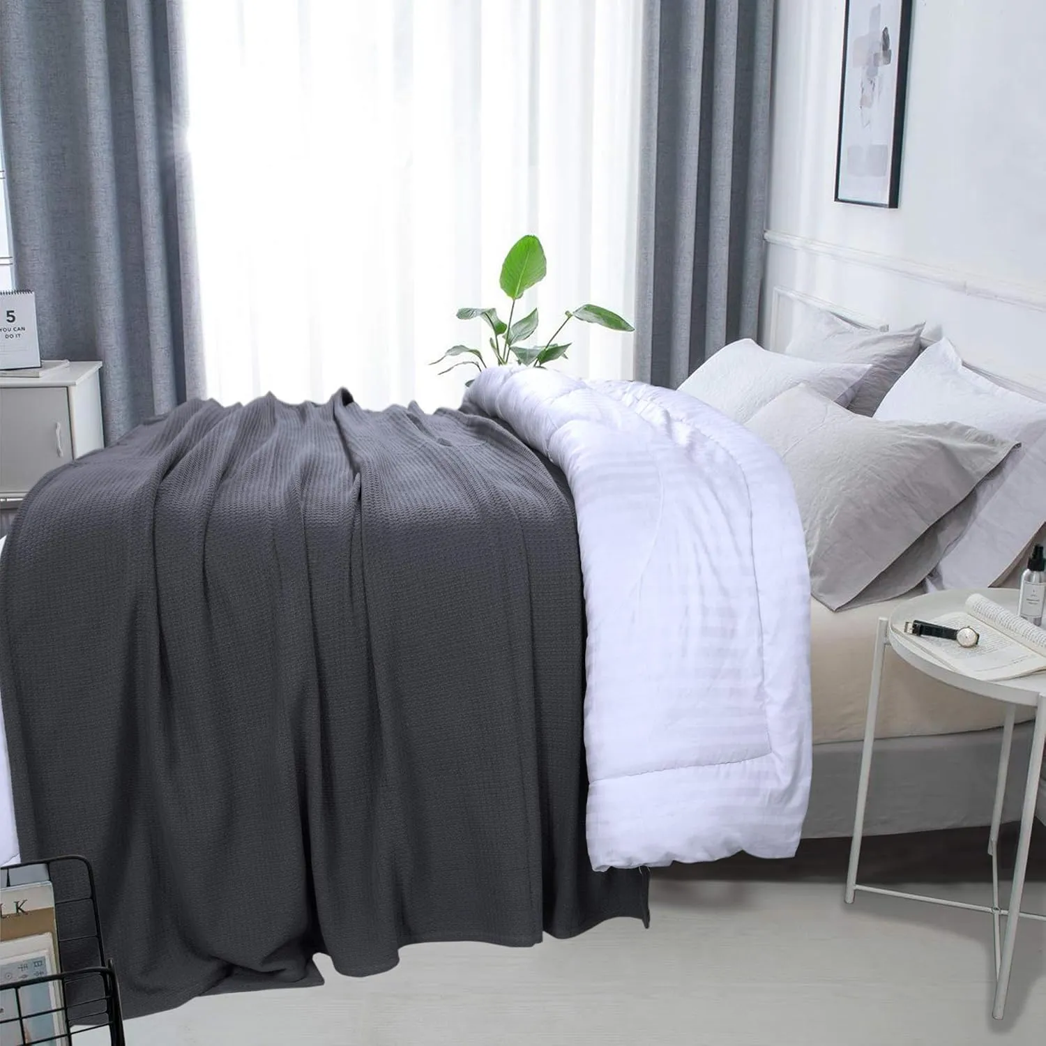 DOLLCENT 100% Cotton Twin Size Blanket for Bed, Premium Soft Combed Lightweight Blankets, Washed Breathable Cozy Bed Throw Blanket, Grey Twin Cotton Blankets for All Season: Grey (66"x90")