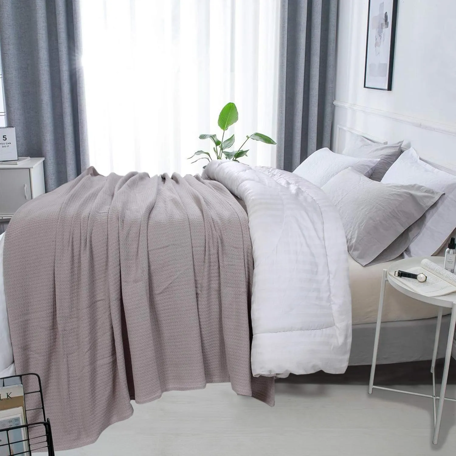 DOLLCENT 100% Cotton Twin Size Blanket for Bed, Premium Soft Combed Lightweight Blankets, Washed Breathable Cozy Bed Throw Blanket, Sand Twin Cotton Blankets for All Season: Sand (66"x90")