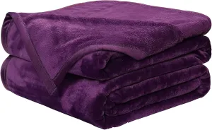 EASELAND Soft Blanket King Size Blanket Warm Microplush Lightweight Thermal Fleece Blankets for Couch Bed Sofa,90x108 inches,Purple