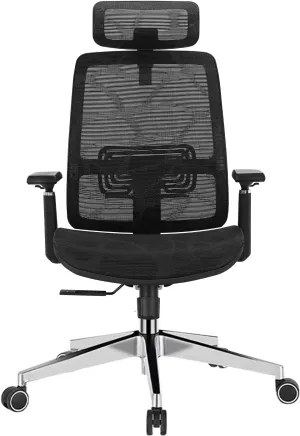 Ergonomic Mesh Office Chair with Headrest - High Back Computer Desk Chair Adjustable Lumbar Support, 3D Armrests, Synchro-Tilt Recline,High Elastic Nylon Mesh Cushion (Black)