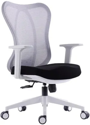 Ergonomic Office Chair, Mesh Back & Seat, Home Office Desk Chairs with Adjustable Arms, Breathable Mesh Computer Chair for Home Office (Color : Grey)