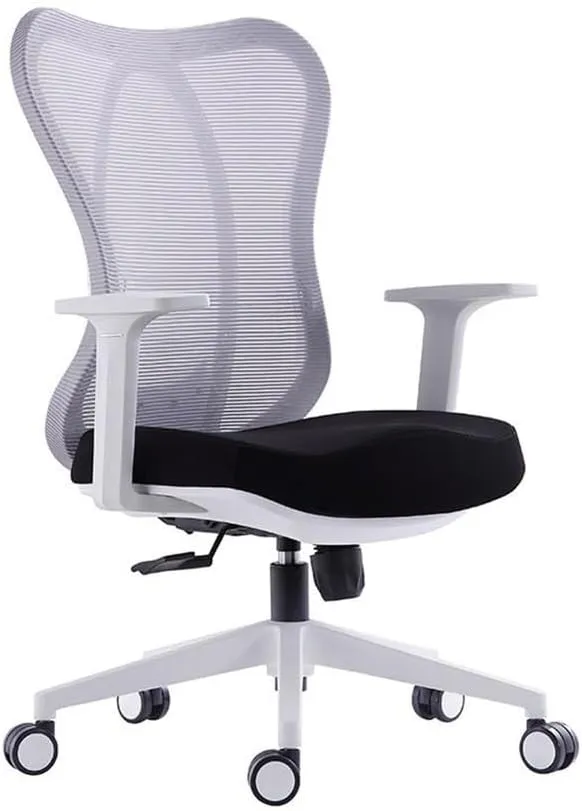 Ergonomic Office Chair, Mesh Back & Seat, Home Office Desk Chairs with Adjustable Arms, Breathable Mesh Computer Chair for Home Office (Color : Grey)