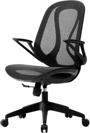 Executive Desk Chair Ergonomic Office Chair, Breathable Mesh Desk Chair, Lumbar Support PC Chair with Flip-up Arms, Black Swivel Task Chair with Wheels, Adjustable Height Home Gaming Chair Office Chai