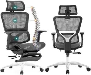 Ferral Ergonomic Office Chair, High Back Mesh Office Chair with Adaptative Lumbar Support, 3D Adjustable Armrest & Seat Depth, Rolling Desk Chair with Tilt Function, Adjustable Headrest (Dark Gray)