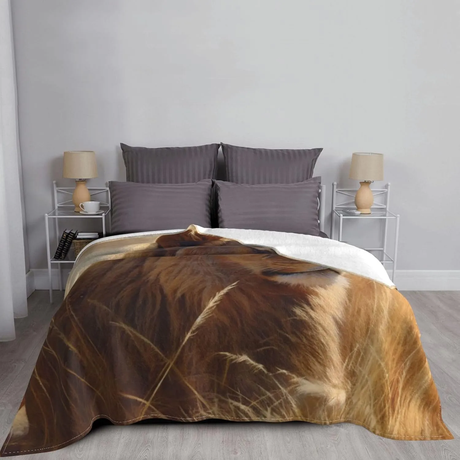 Fleece Blanket Super Soft Cozy Throw Blankets for Couch & Bed Lightweight Breathable Throw Blanket Prairie Lion Flannel Blanket Warm Plush Bed Blankets for Travel Camping 80"x60"