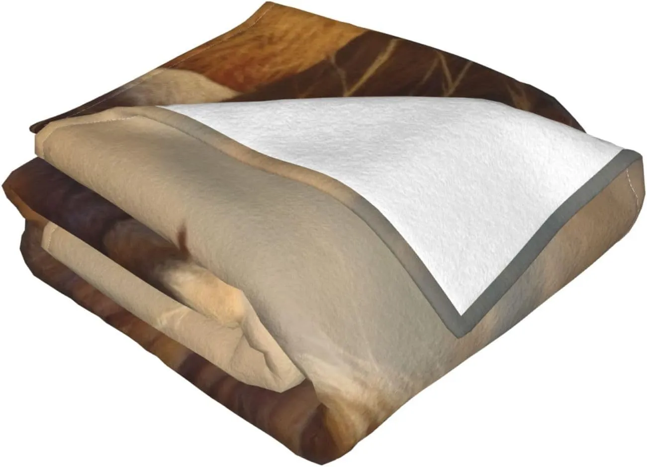 Fleece Blanket Super Soft Cozy Throw Blankets for Couch & Bed Lightweight Breathable Throw Blanket Prairie Lion Flannel Blanket Warm Plush Bed Blankets for Travel Camping 80"x60"