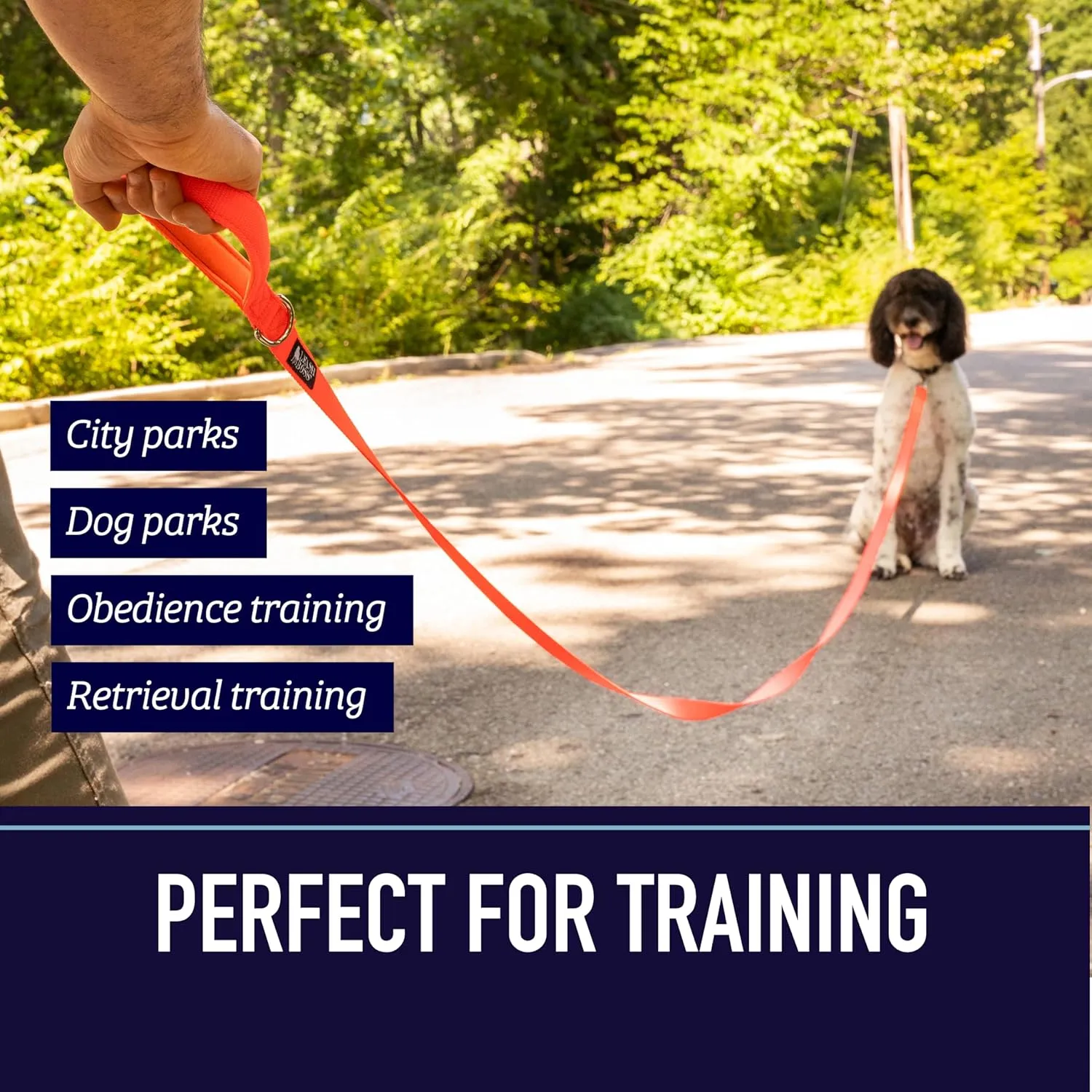 Leash Boss 10 Foot Dog Leash with Padded Handle - Long Leash for Hiking, Camping, Exploring, or Walking (10 Feet, Black/Red/Grey)