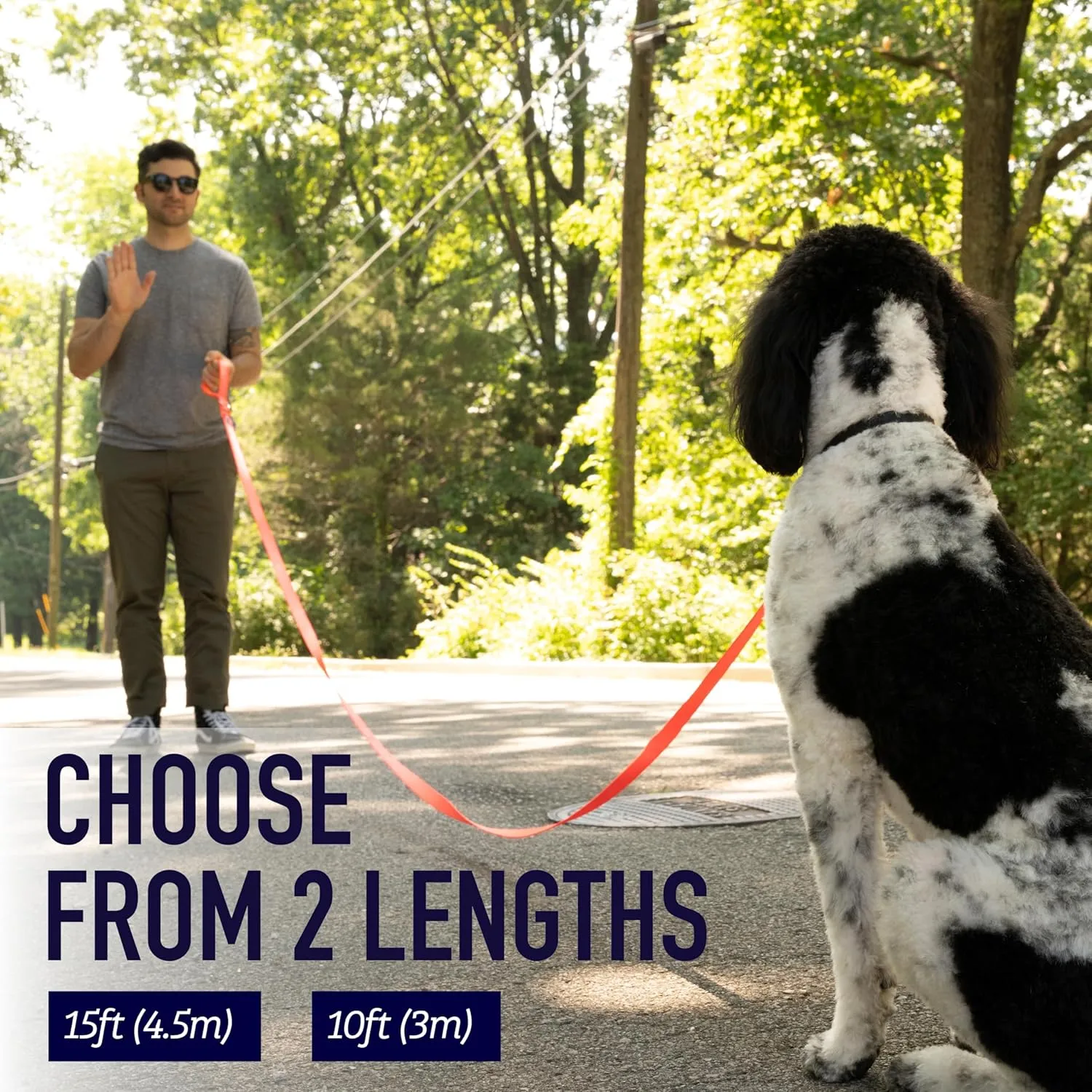 Leash Boss 10 Foot Dog Leash with Padded Handle - Long Leash for Hiking, Camping, Exploring, or Walking (10 Feet, Black/Red/Grey)