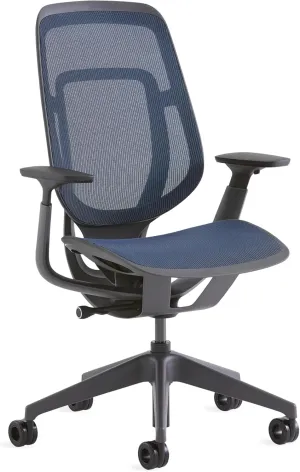 Steelcase Karman Mesh Ergonomic Desk Chair - Adjustable Desk Chair - 4 Points of Adjustability - Lumbar Support - Merle Frame & Baltic Mesh
