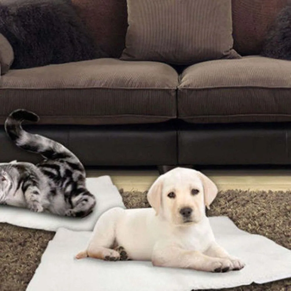 Thermal Paws? - Self Heating Pet Blanket For Dogs And Cats by Dog Hugs Cat