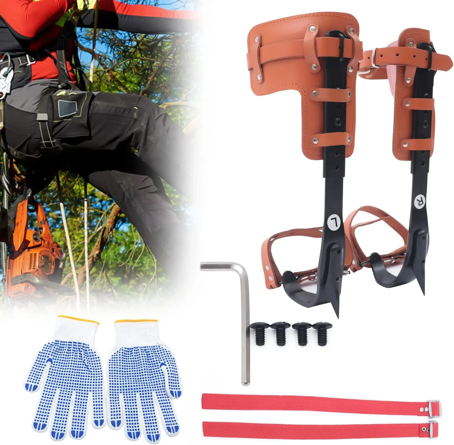 Tree Climbing Spikes Set, Tree Climbing Gear with Adjustable Climbing Belt and Rope, Tree Climbing Spikes for Tree Work, Tree Climbing Spike Set Tool for Fruit Picking Outdoor Activities