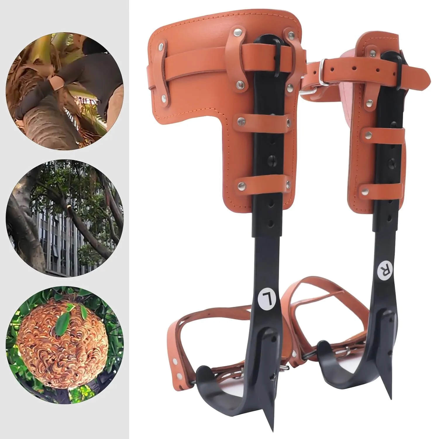 Tree Climbing Spikes Set, Tree Climbing Gear with Adjustable Climbing Belt and Rope, Tree Climbing Spikes for Tree Work, Tree Climbing Spike Set Tool for Fruit Picking Outdoor Activities